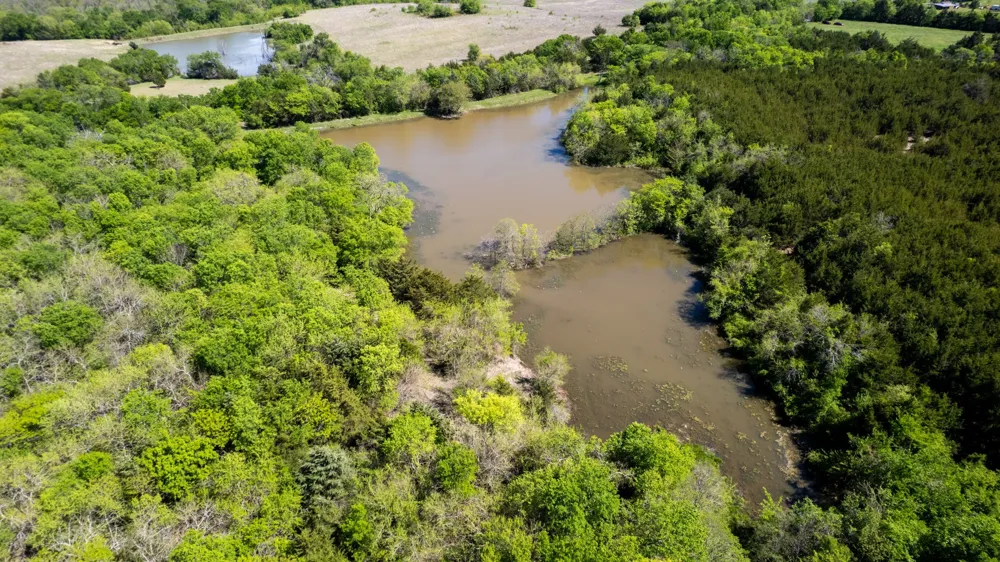 County Road 5020 Road #OF Blue Ridge, TX 75424