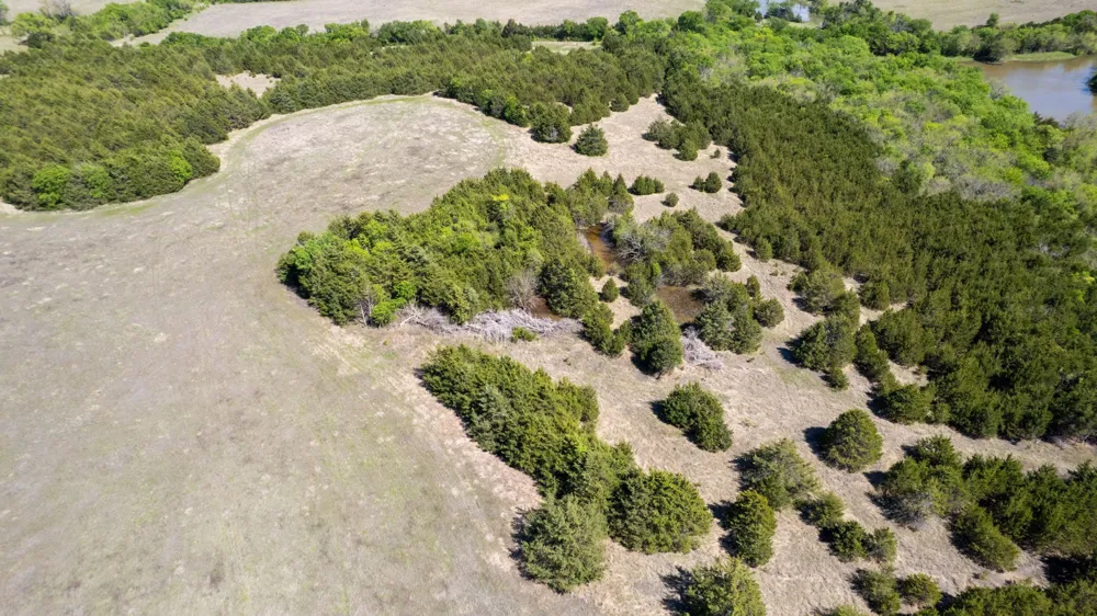 County Road 5020 Road #OF Blue Ridge, TX 75424