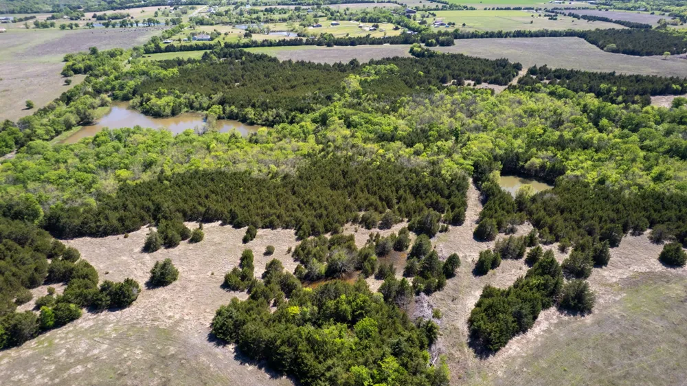 County Road 5020 Road #OF Blue Ridge, TX 75424
