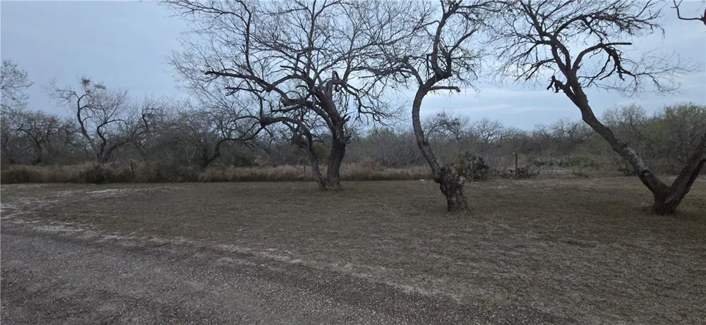 14135 County Road 1144 Sinton, TX 78387