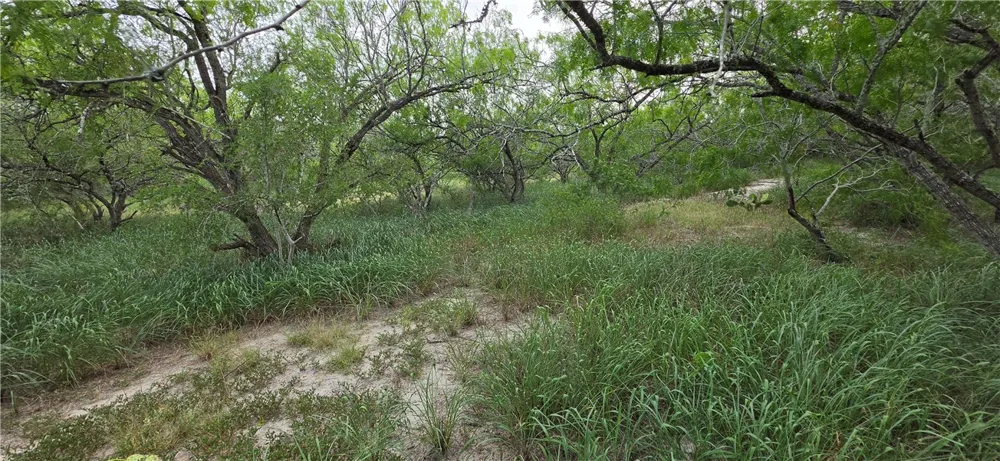 14135 County Road 1144 Sinton, TX 78387