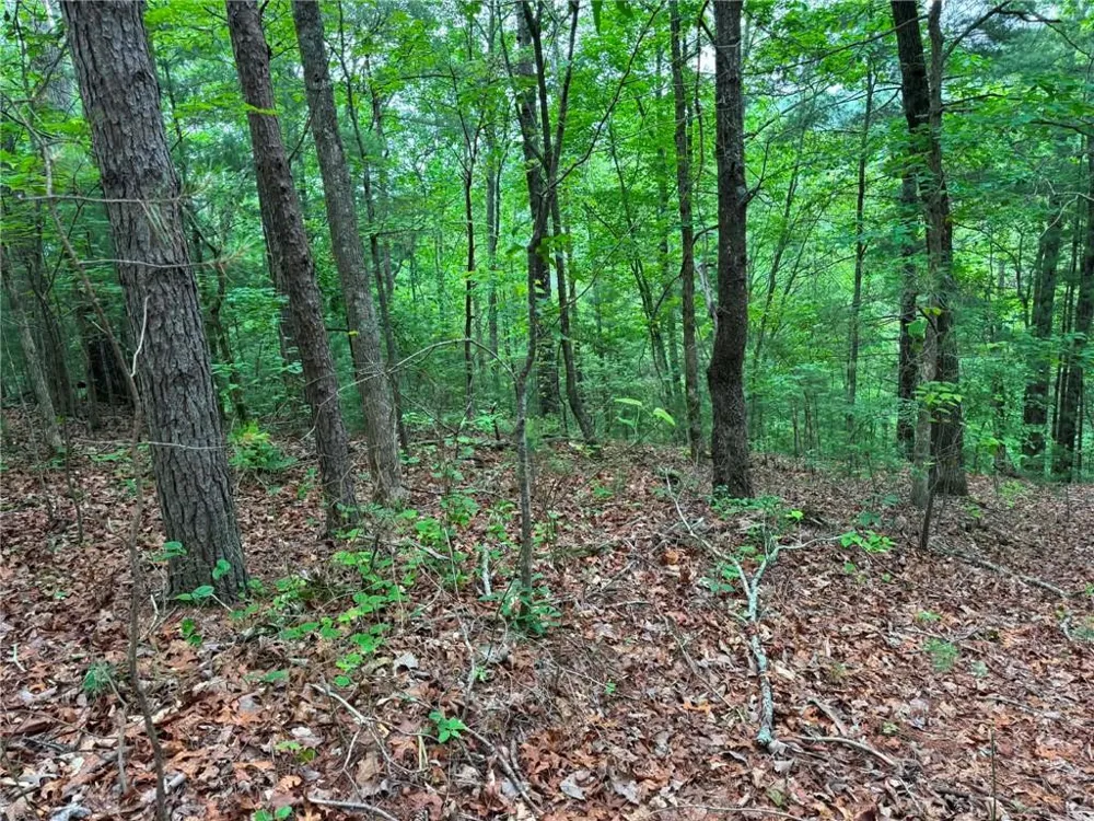1674A Hunter Drive Ranger, GA 30734