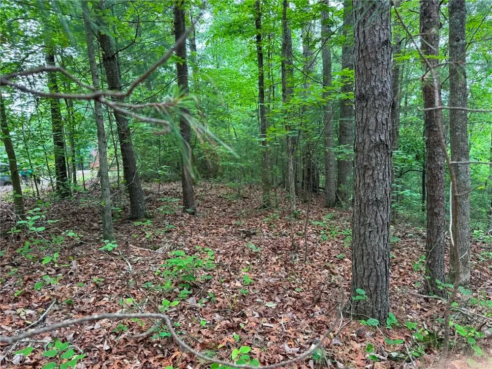 1674A Hunter Drive Ranger, GA 30734