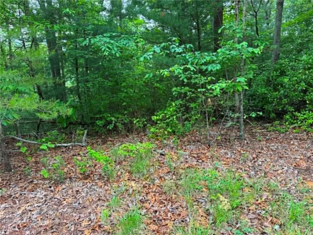 1674A Hunter Drive Ranger, GA 30734