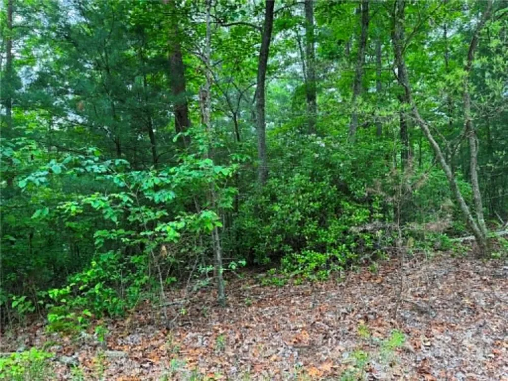 1674A Hunter Drive Ranger, GA 30734