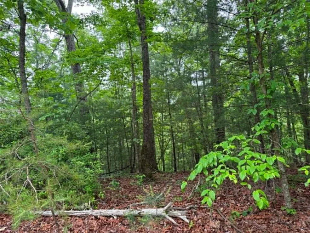 1674A Hunter Drive Ranger, GA 30734