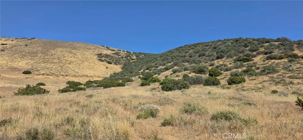 31 Stw/Mayme Acton, CA 93510
