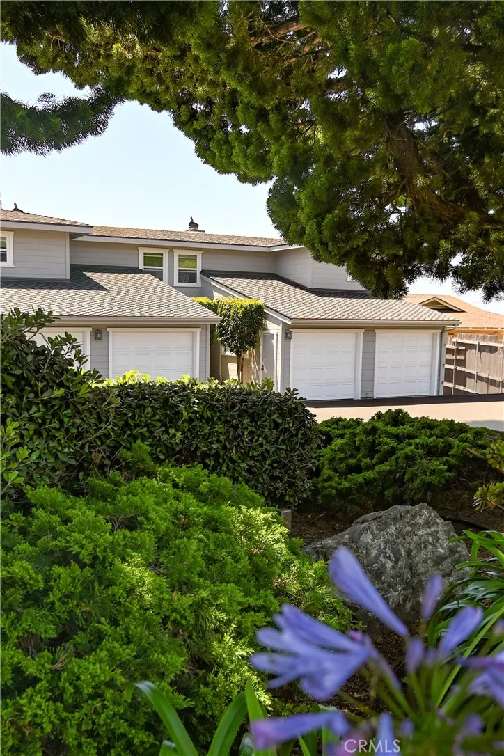 561 Lucerne Cayucos, CA 93430