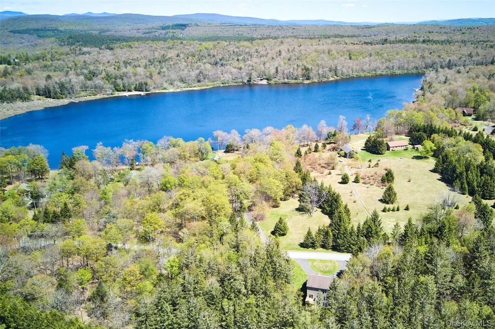 26 Elko Lake Drive Parksville, NY 12768