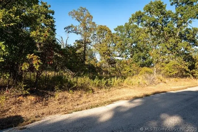 26353 E 300 ROAD Big Cabin, OK 74332