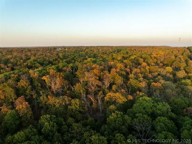 26353 E 300 ROAD Big Cabin, OK 74332