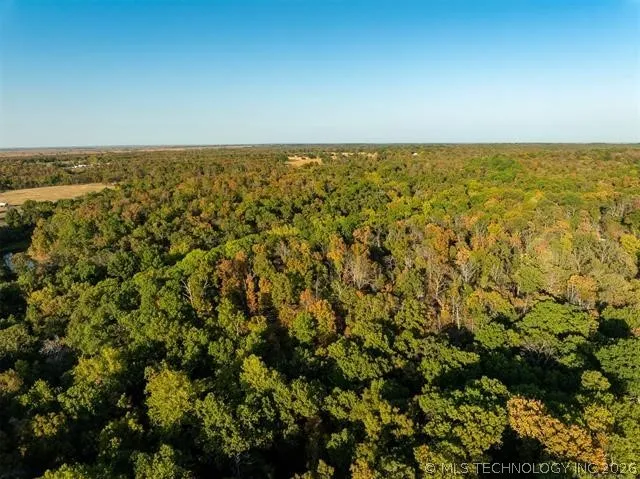 26353 E 300 ROAD Big Cabin, OK 74332