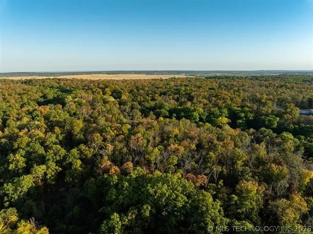 26353 E 300 ROAD Big Cabin, OK 74332