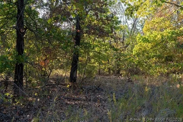 26353 E 300 ROAD Big Cabin, OK 74332
