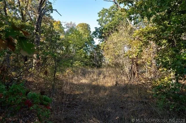 26353 E 300 ROAD Big Cabin, OK 74332
