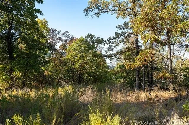 26353 E 300 ROAD Big Cabin, OK 74332