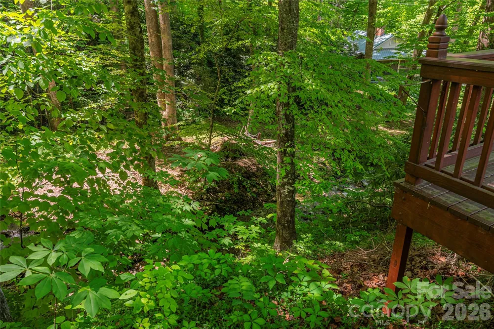 868 Cabin Flats Road Balsam, NC 28707