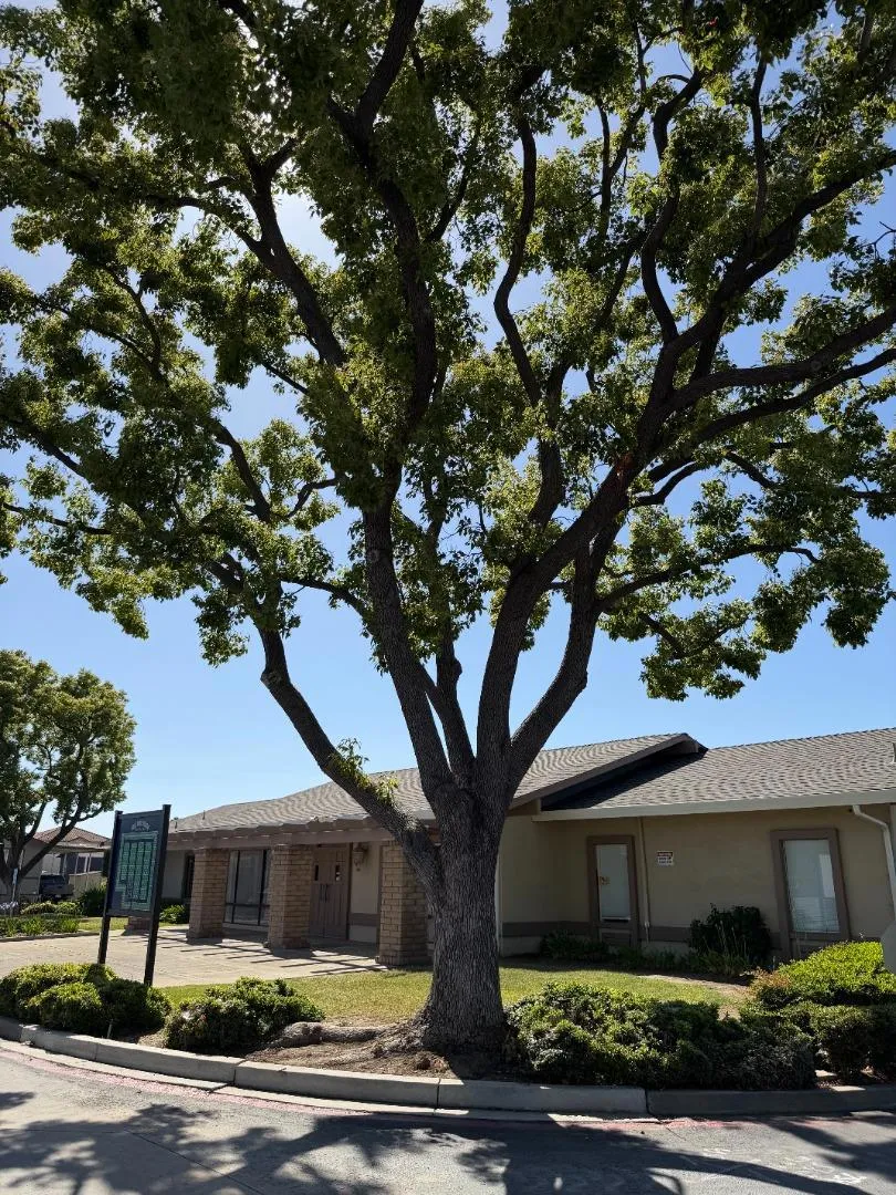 555 Umbarger Road #43 San Jose, CA 95111