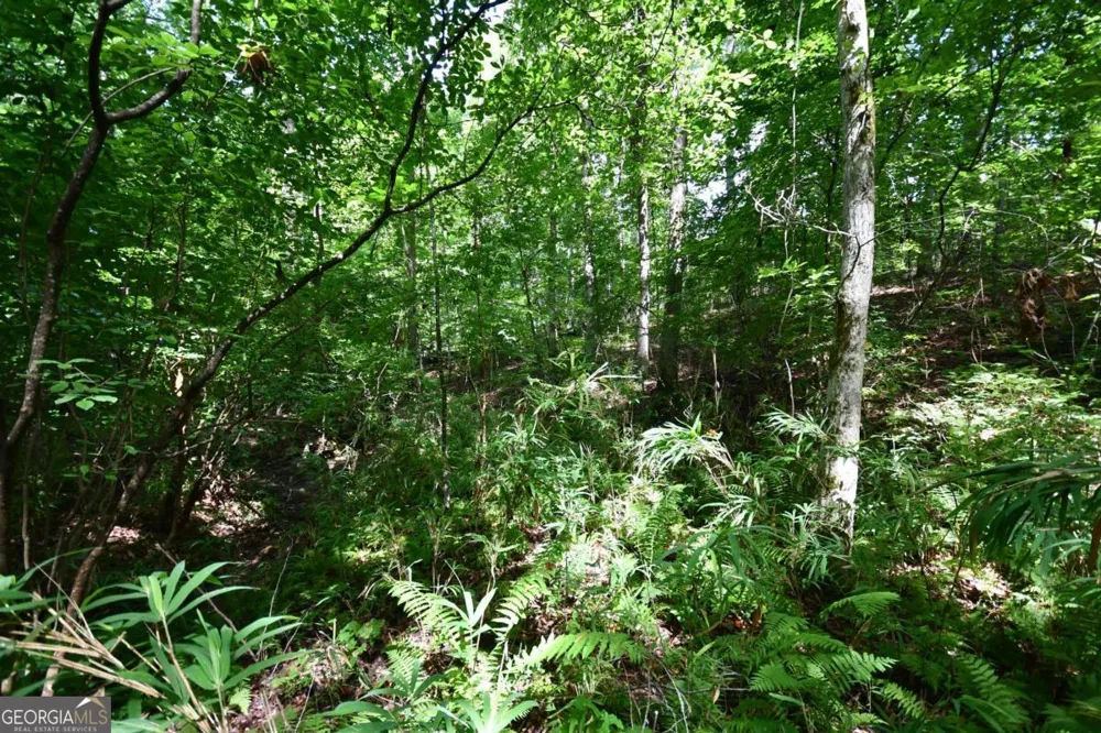 00008 Windridge LN Temple, GA 30179