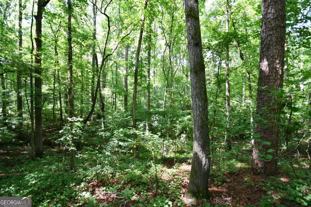 00008 Windridge LN Temple, GA 30179