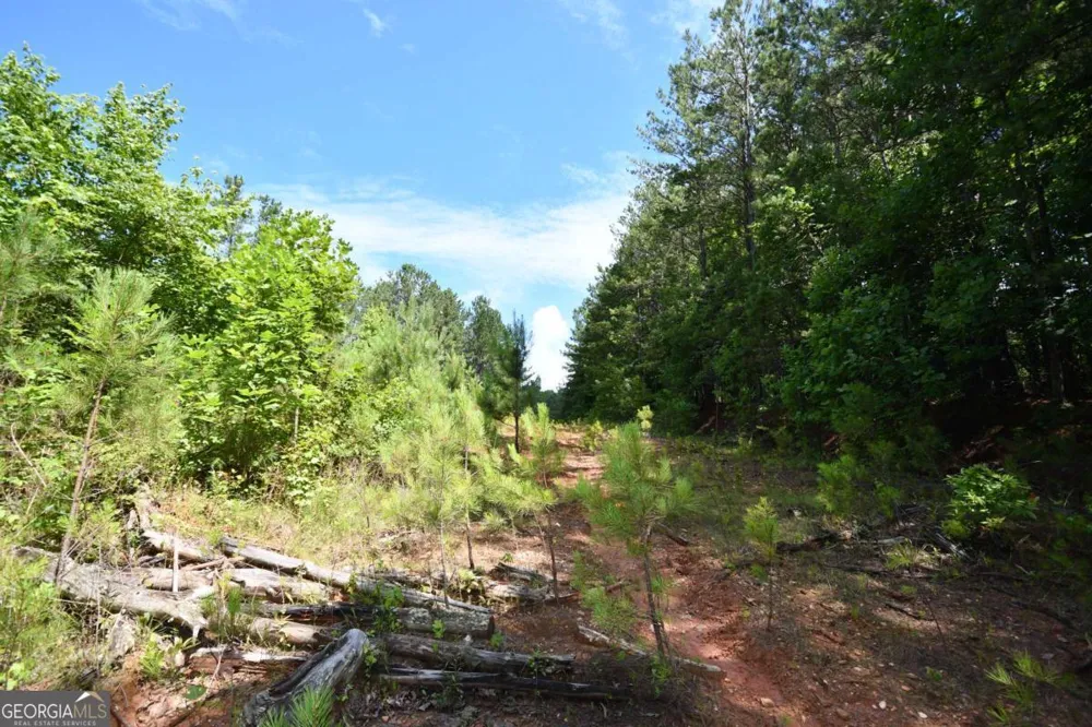00008 Windridge LN Temple, GA 30179