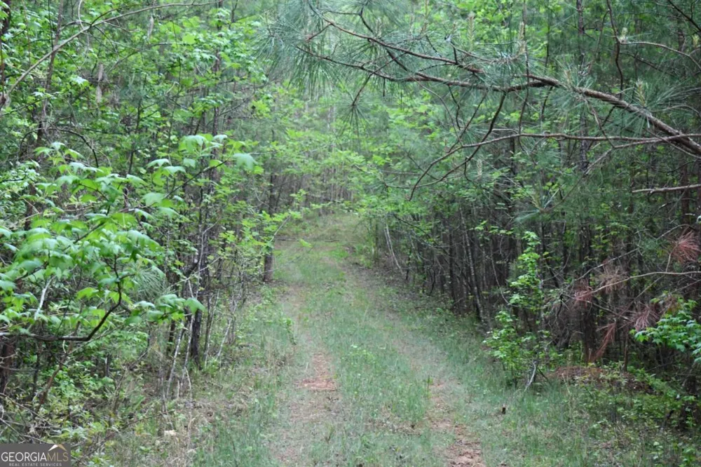 00008 Windridge LN Temple, GA 30179