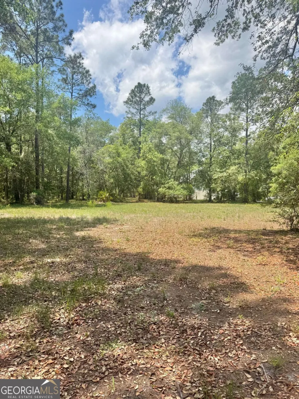 652 Picnic LN Townsend, GA 31331