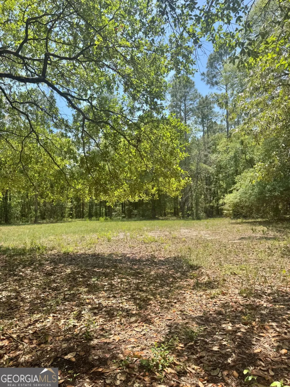 652 Picnic LN Townsend, GA 31331
