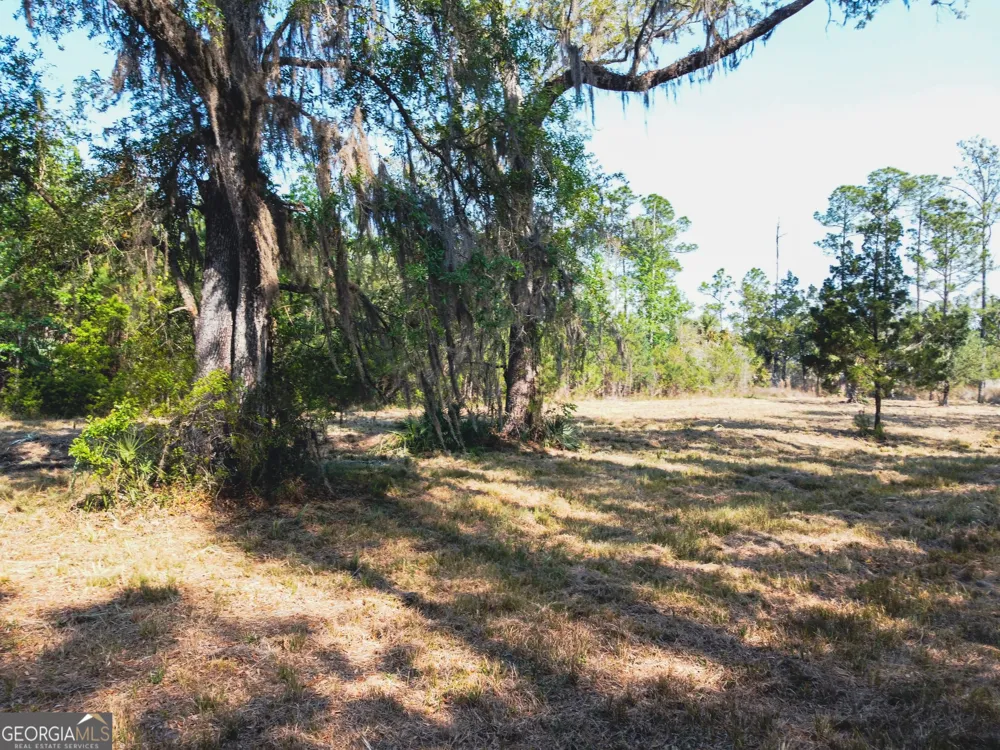 V/L 73 La Sole LN Waverly, GA 31565