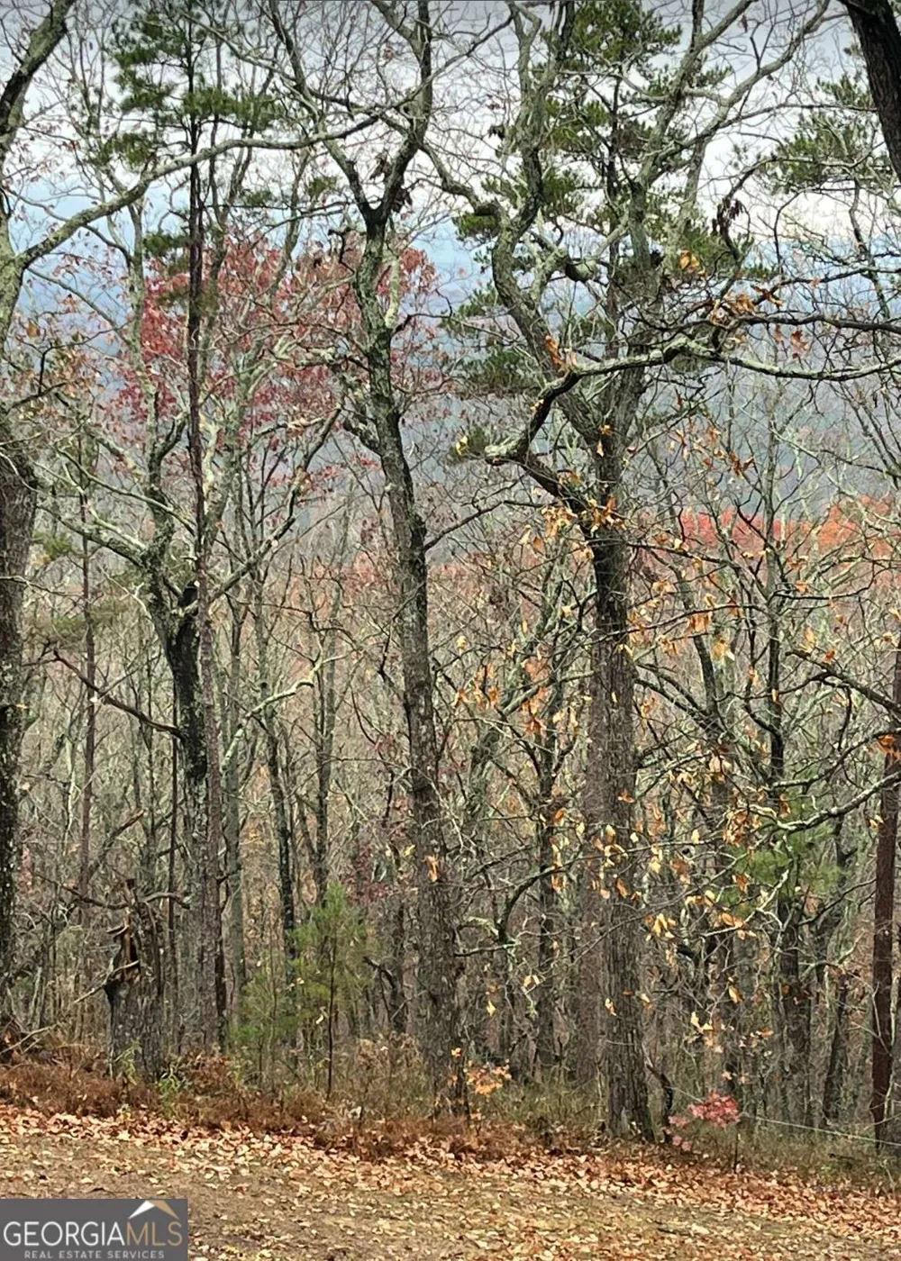 437 Mccurry TRL Canton, GA 30114