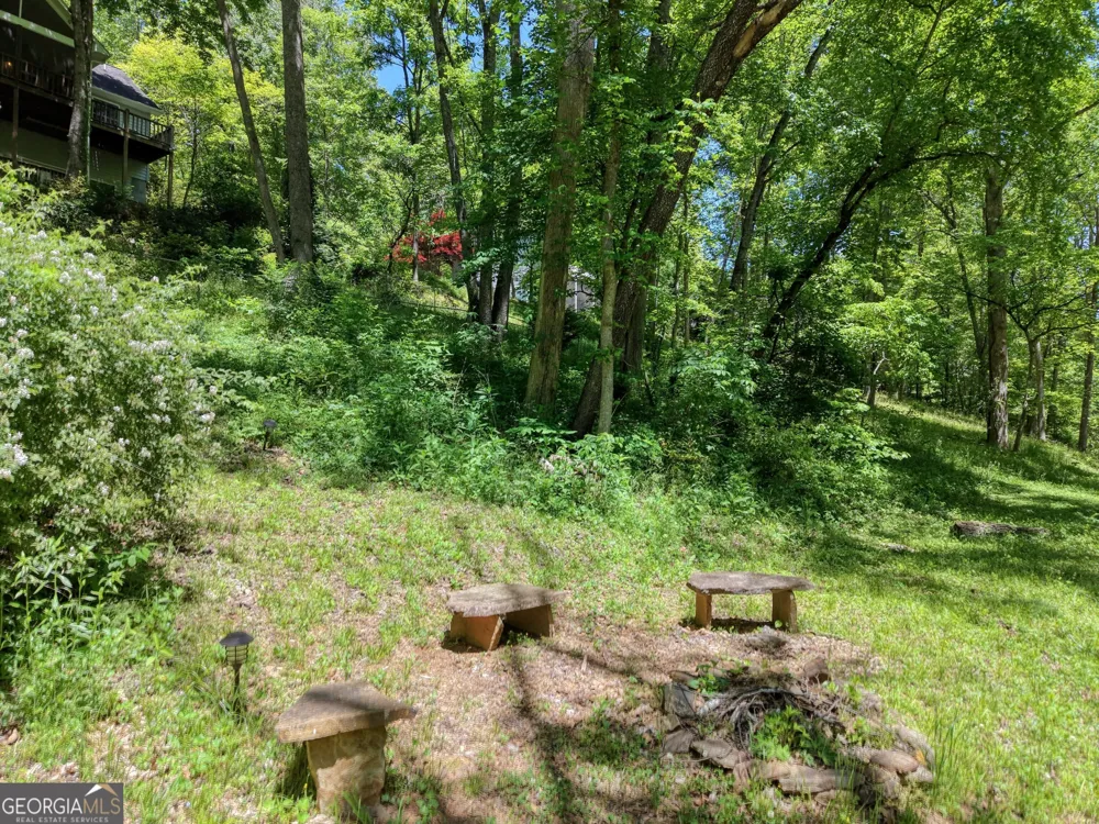 1903 Bell Eagle DR Hiawassee, GA 30546