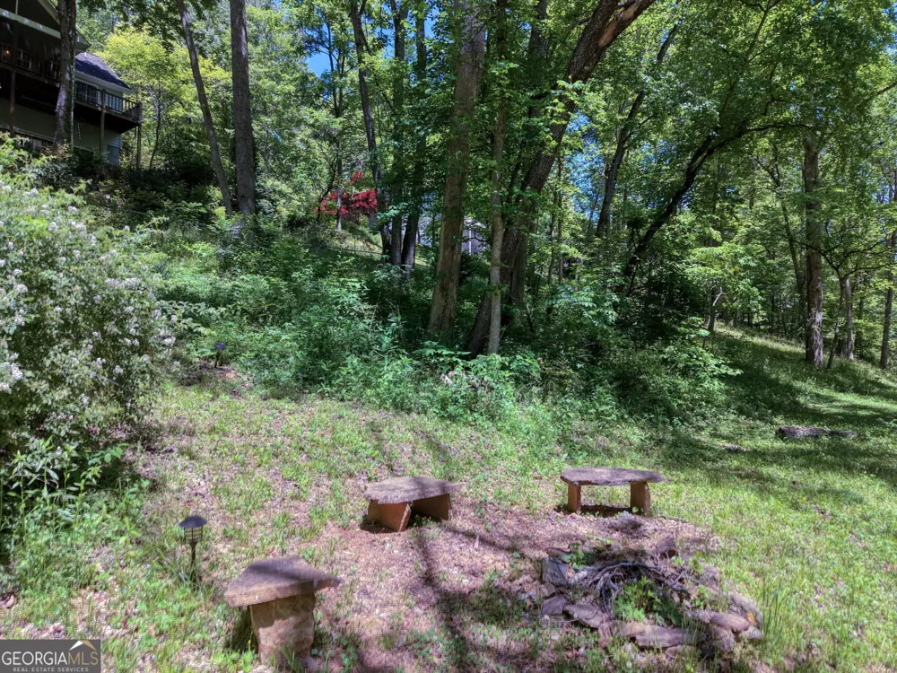 1903 Bell Eagle DR Hiawassee, GA 30546