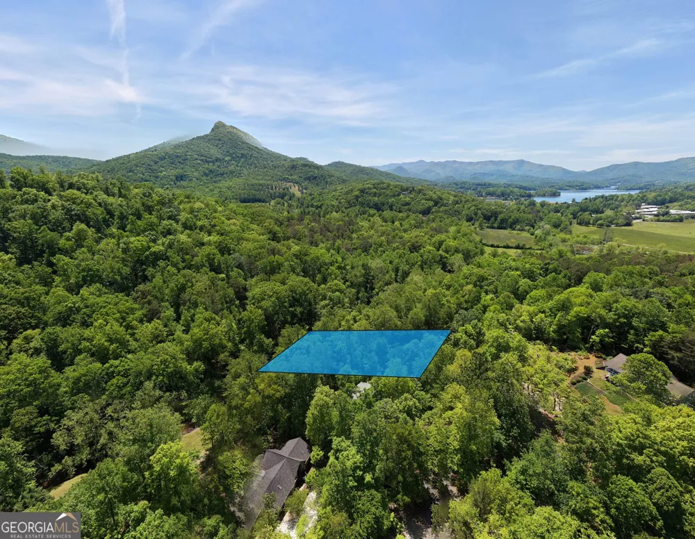 1903 Bell Eagle DR Hiawassee, GA 30546