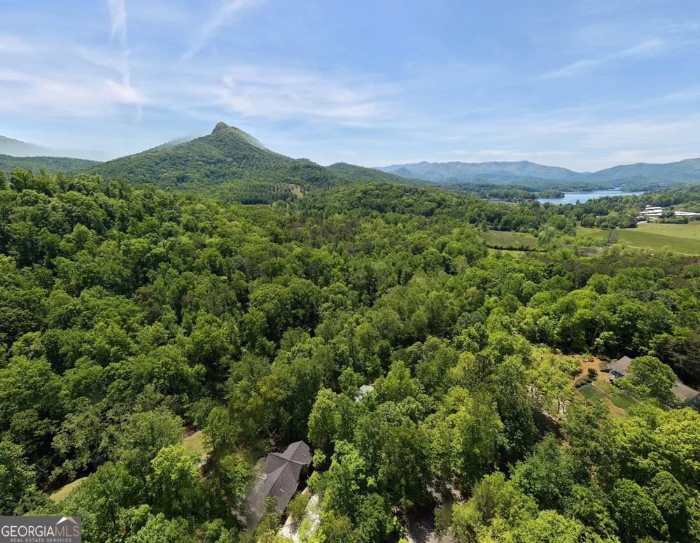 1903 Bell Eagle DR Hiawassee, GA 30546