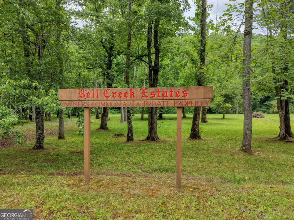 1903 Bell Eagle DR Hiawassee, GA 30546
