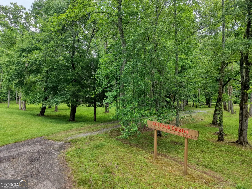 1903 Bell Eagle DR Hiawassee, GA 30546