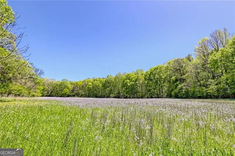 1103 Apple Pie Ridge RD Alto, GA 30510