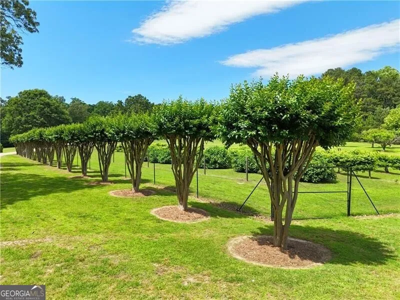 1103 Apple Pie Ridge RD Alto, GA 30510