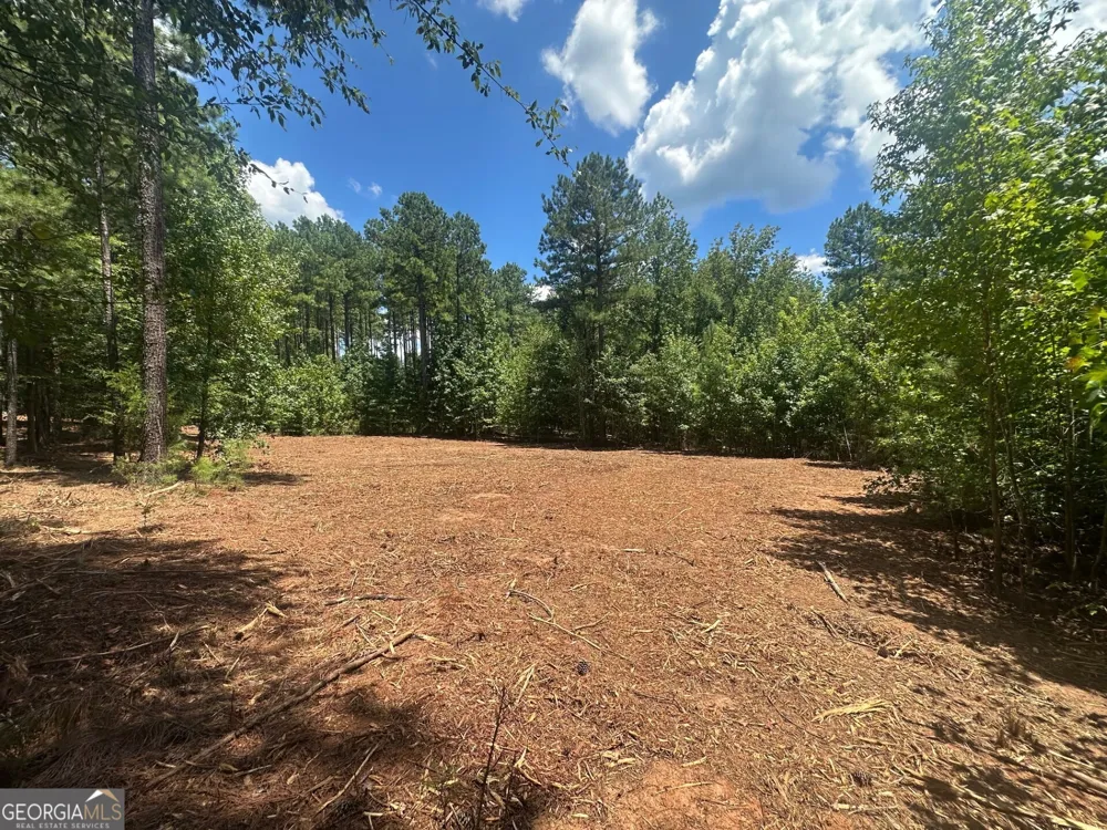 0 Ruckersville RD Elberton, GA 30635