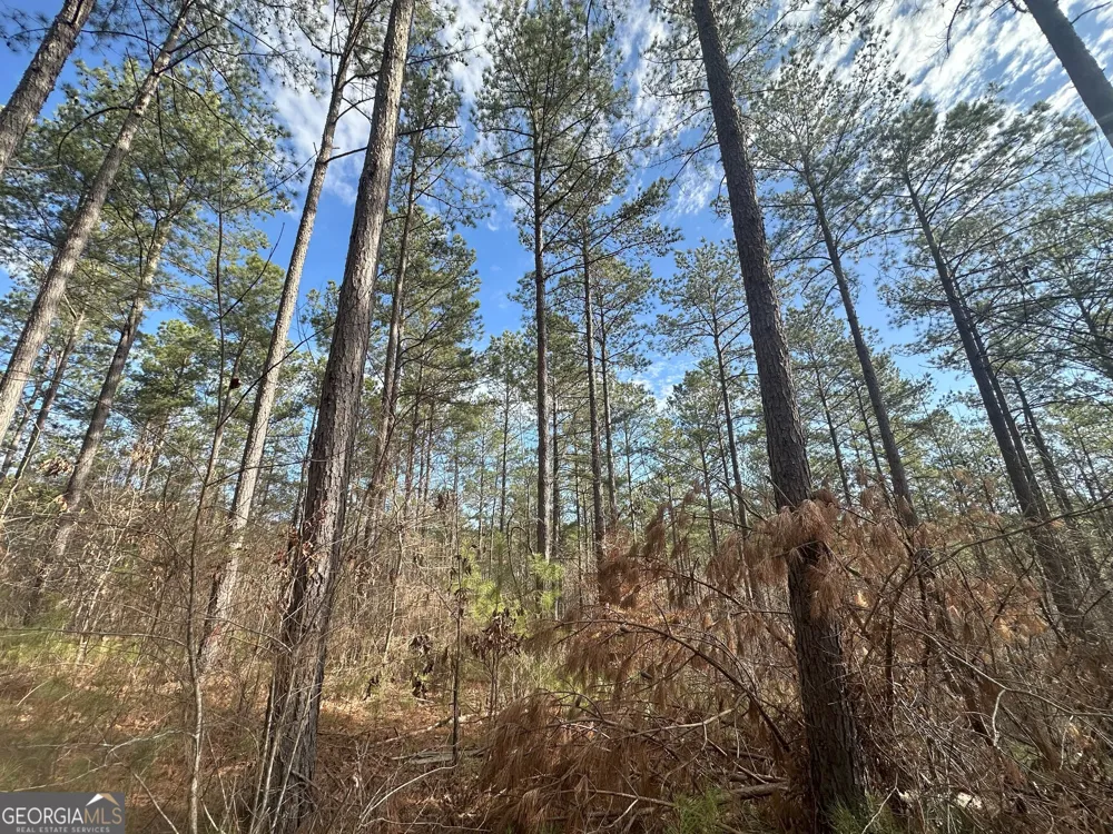 0 Ruckersville RD Elberton, GA 30635