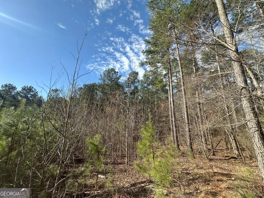 0 Ruckersville RD Elberton, GA 30635