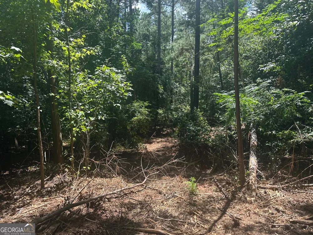 0 Ruckersville RD Elberton, GA 30635