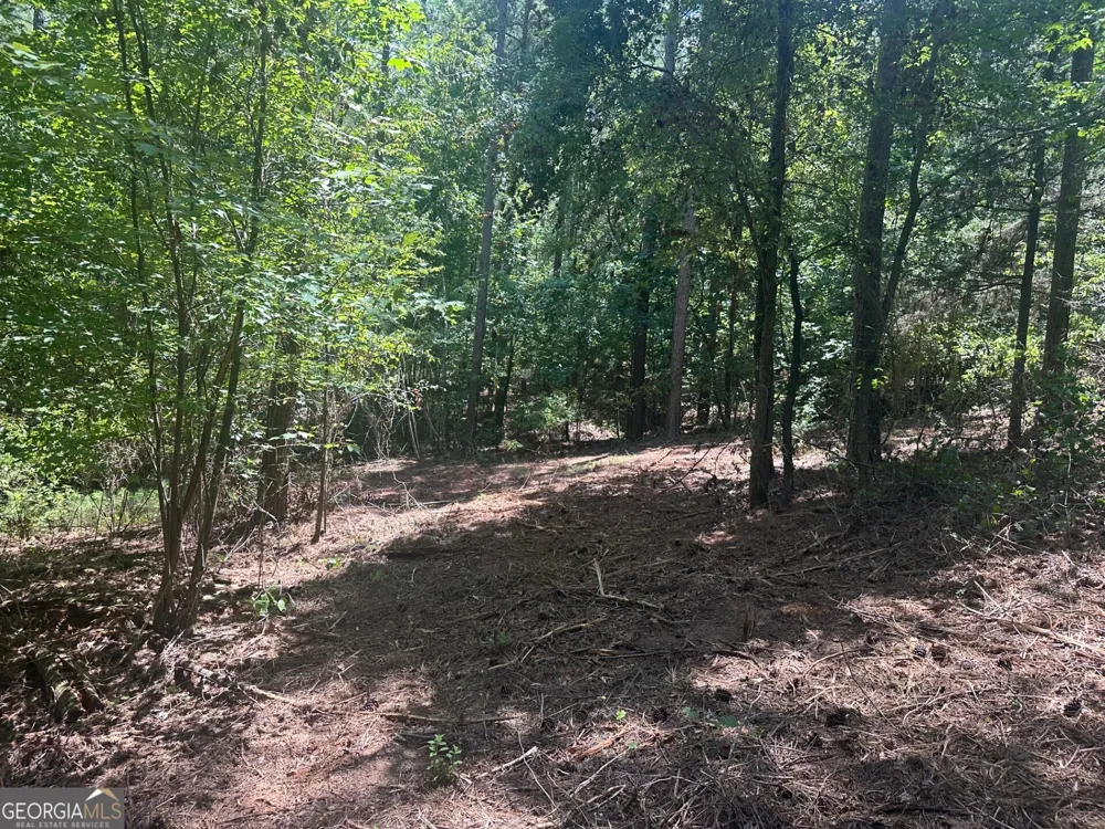 0 Ruckersville RD Elberton, GA 30635