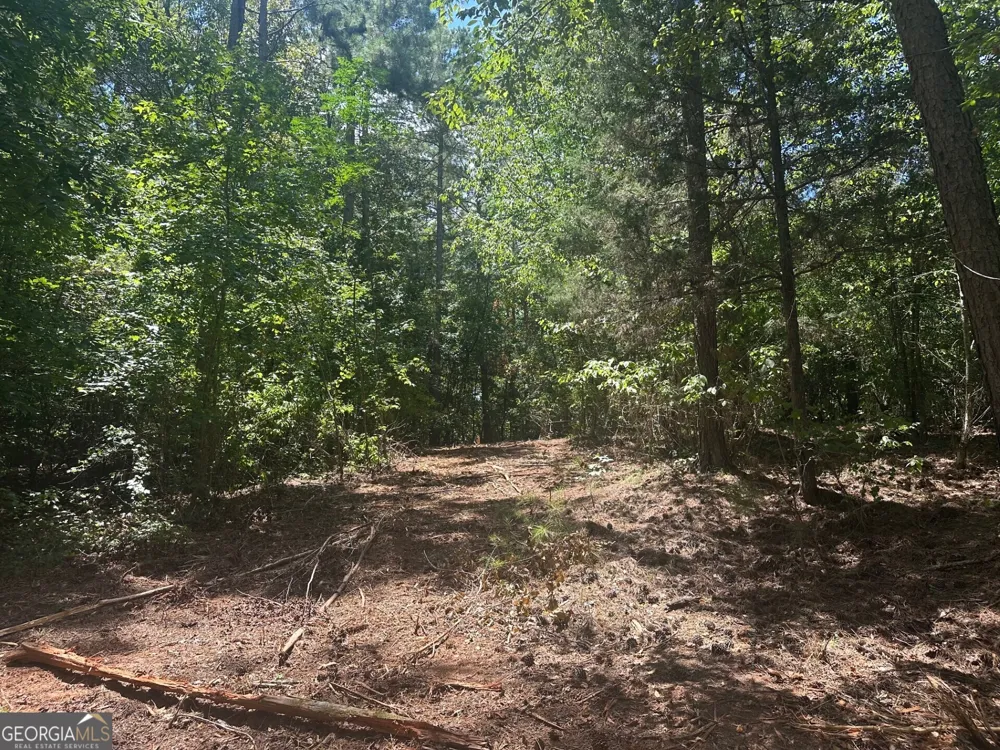 0 Ruckersville RD Elberton, GA 30635