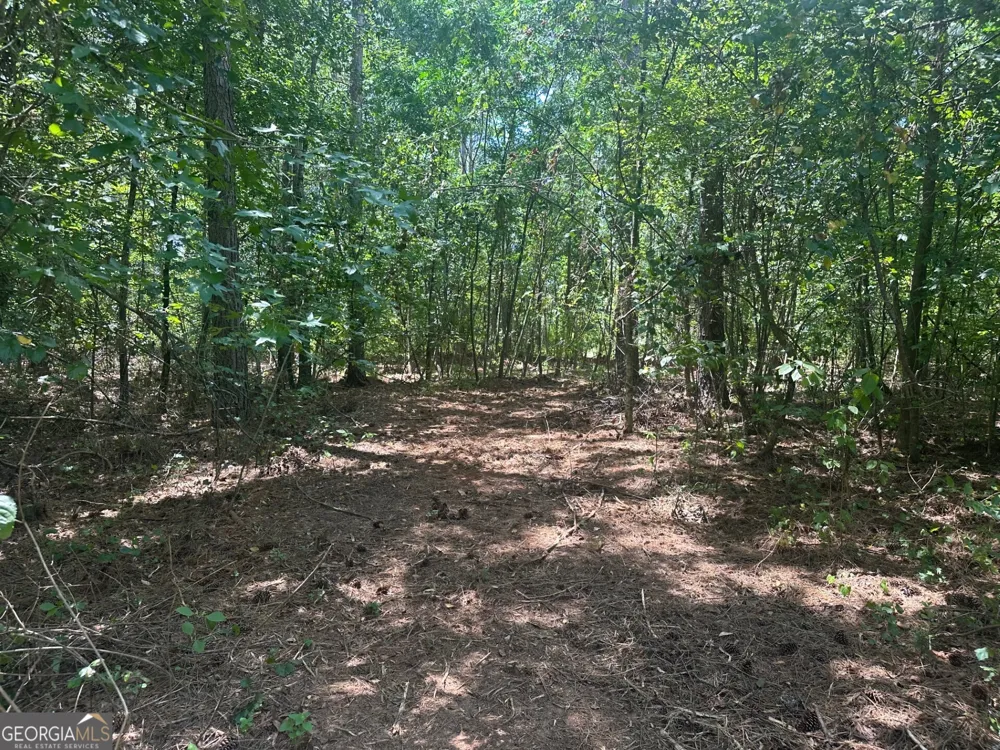0 Ruckersville RD Elberton, GA 30635