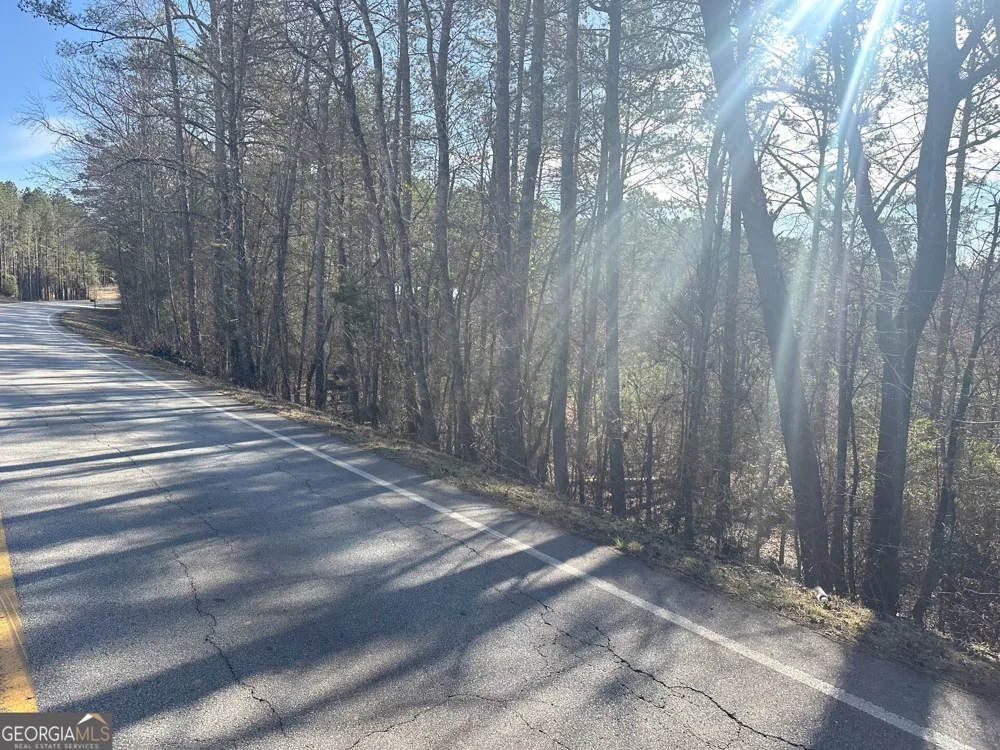 0 Ruckersville RD Elberton, GA 30635