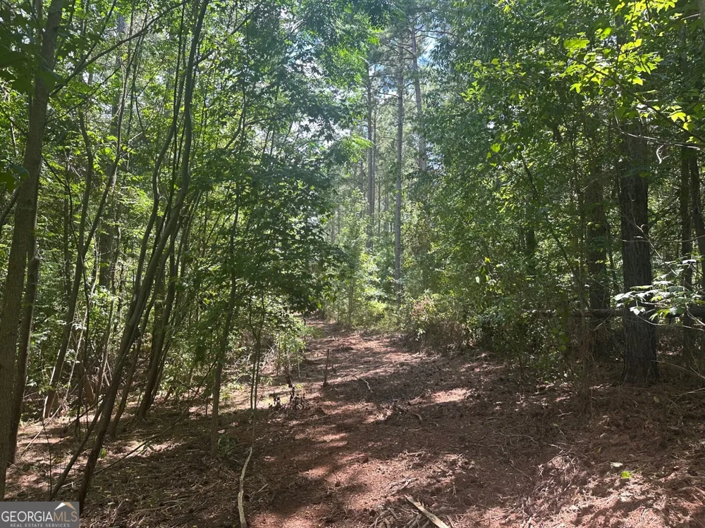 0 Ruckersville RD Elberton, GA 30635
