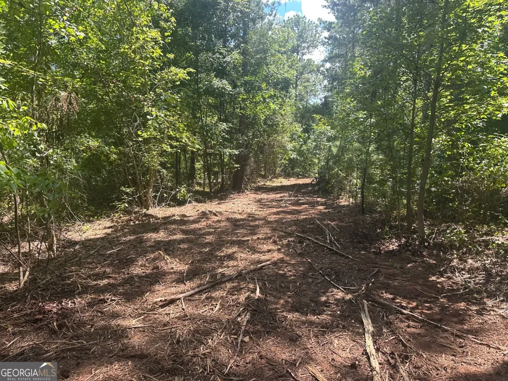 0 Ruckersville RD Elberton, GA 30635