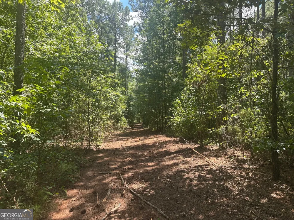 0 Ruckersville RD Elberton, GA 30635