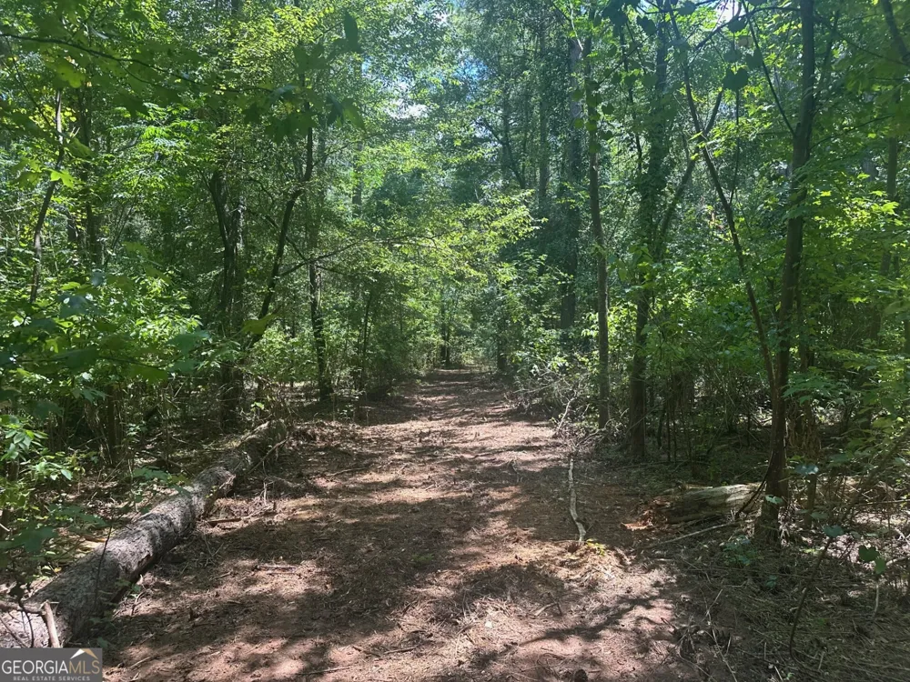 0 Ruckersville RD Elberton, GA 30635